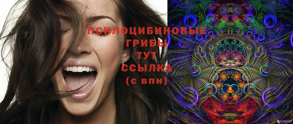 PSILOCYBIN Елизово