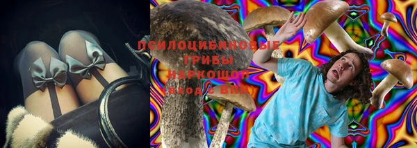 PSILOCYBIN Елизово