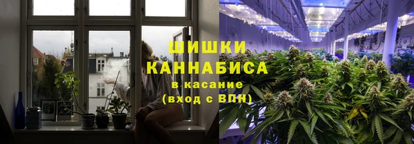 PSILOCYBIN Елизово