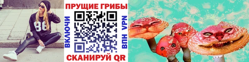 Купить закладки  Котельники  Псилоцибиновые грибы мицелий 
